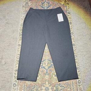 NWT Athleta Endless Pant